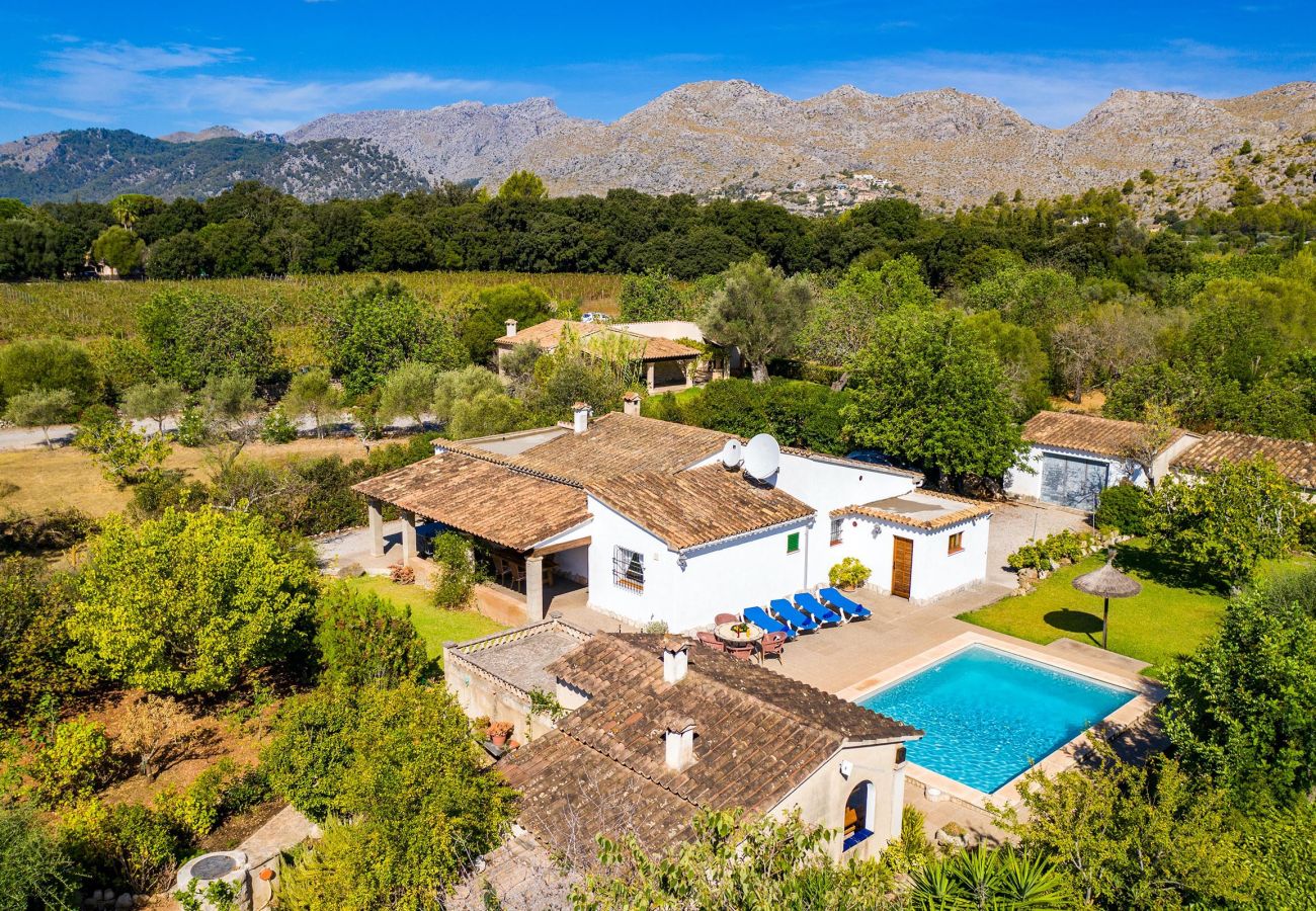 Villa en Pollensa - REI VILA. Bonita villa cerca de Pollensa