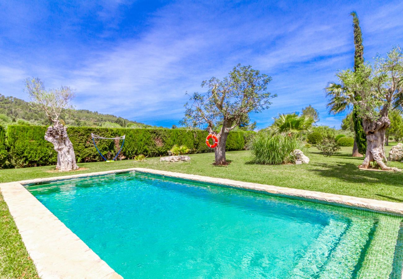 Villa en Alcúdia - SEGUE. Bonita casa de campo con piscina