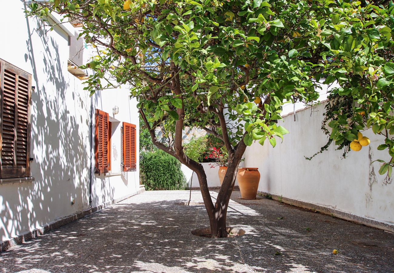 Villa en Cala Sant Vicenç - ODILE. Bonita casa en Cala San Vicente, a distancia a pie de la playa