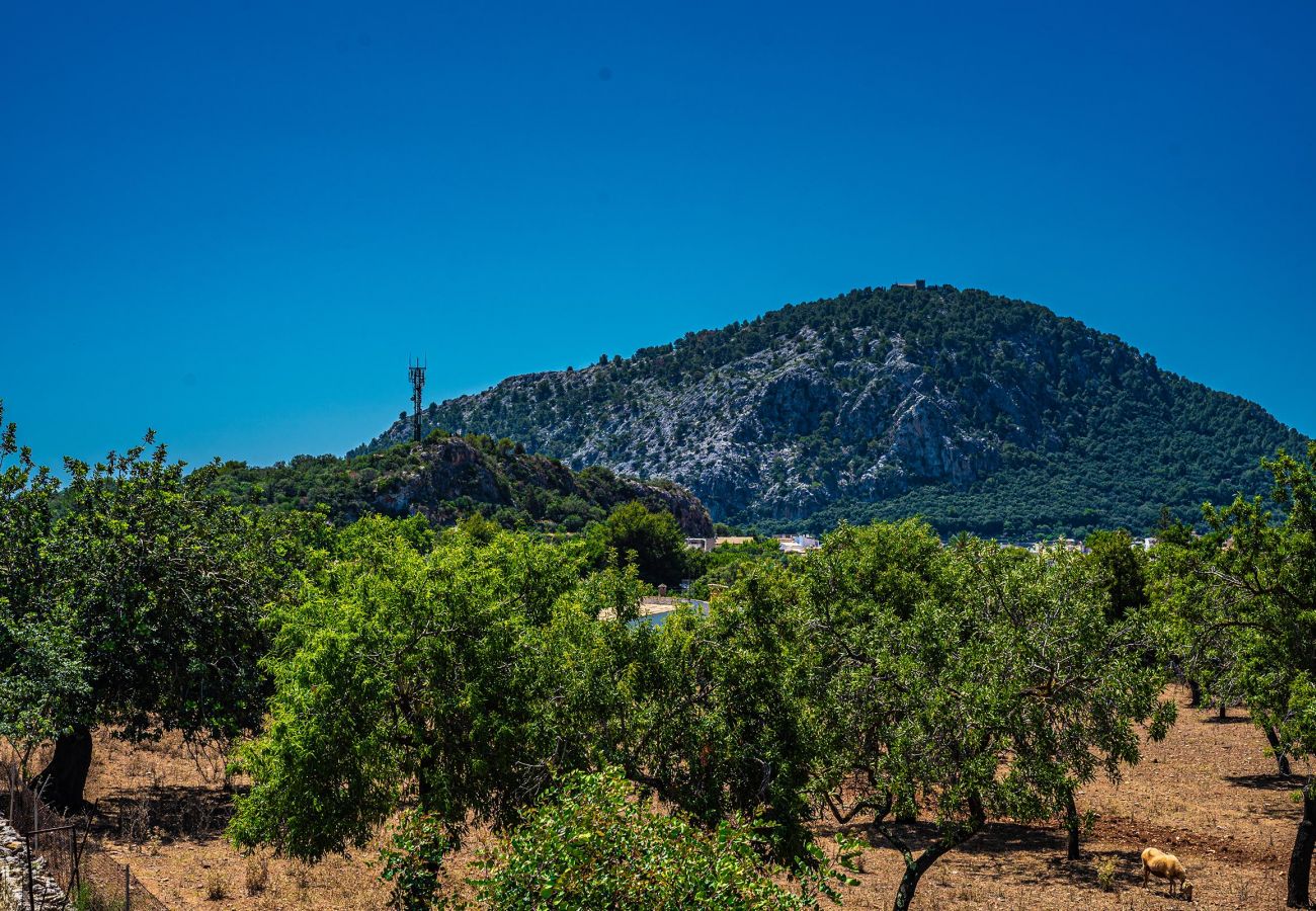 Villa en Pollensa - ANGELS. bonita a distancia a piel de Pollensa