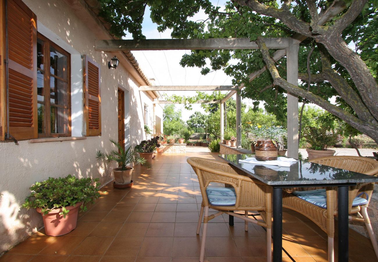 Villa in Puerto Pollensa - FONTXICA. Lovely holiday home near Puerto Pollensa