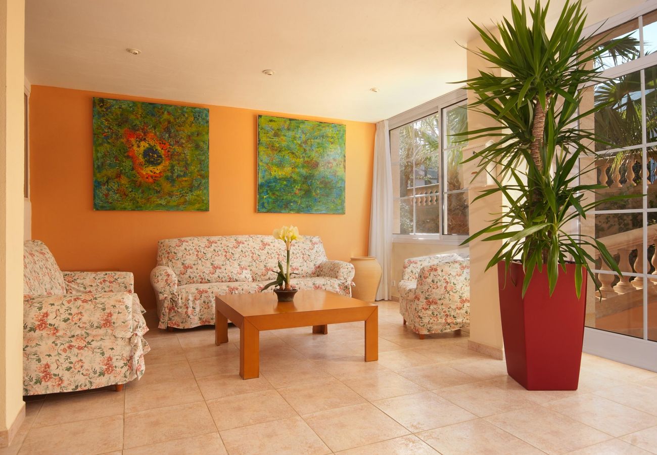 Apartment in Cala San Vicente - PINOS ALTOS 12. Lovely 1 bedroom apartment in Cala San Vicente