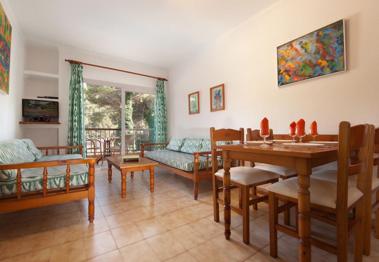 Apartment in Cala San Vicente - PINOS ALTOS 12. Lovely 1 bedroom apartment in Cala San Vicente