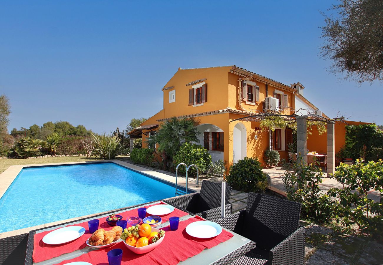 Villa in Pollensa - MARINA NOVA. A garden and pool that will delight young and old