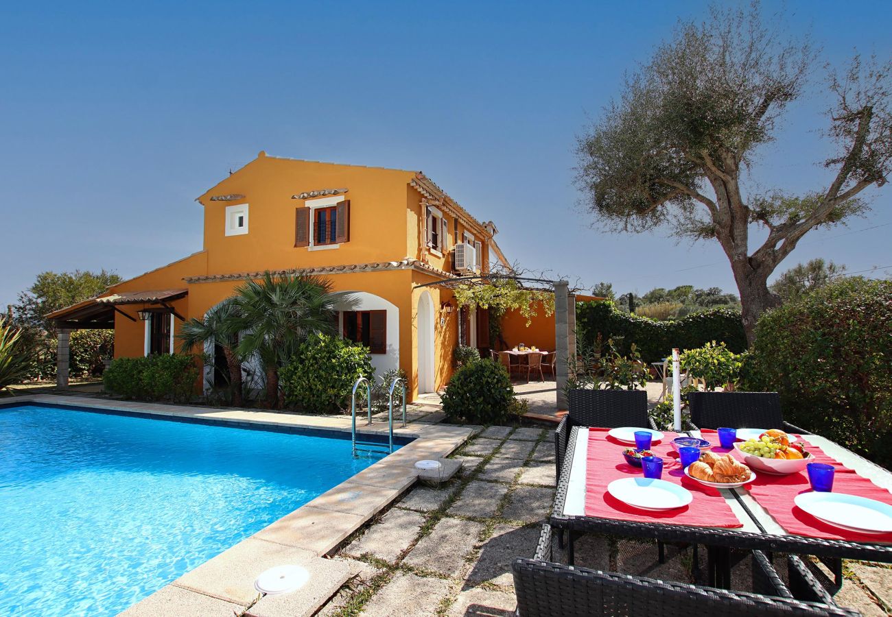 Villa in Pollensa - MARINA NOVA. A garden and pool that will delight young and old