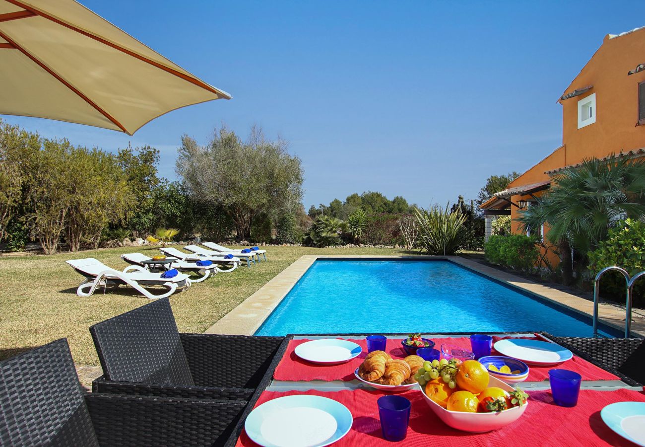 Villa in Pollensa - MARINA NOVA. A garden and pool that will delight young and old