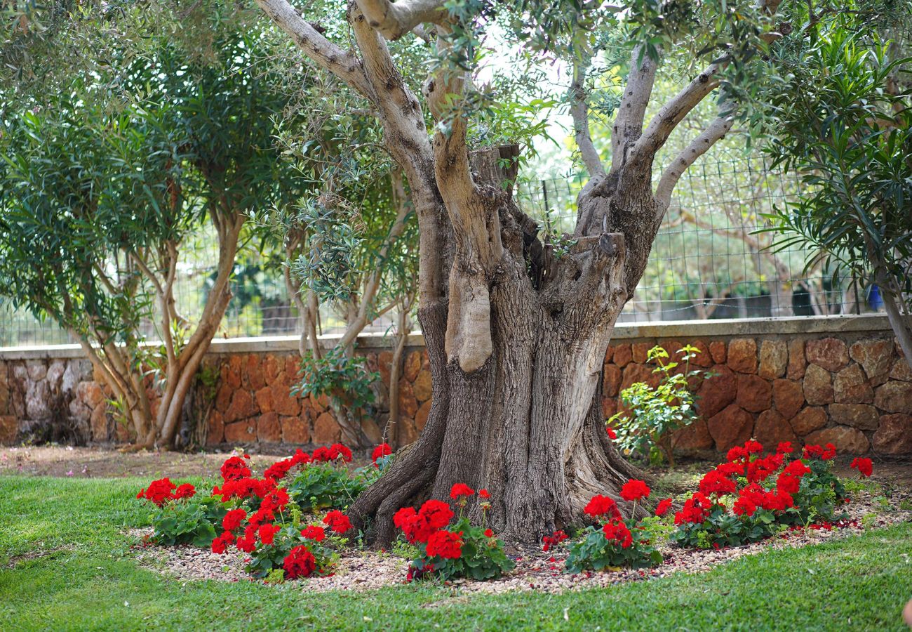 Villa in Pollensa - JOAN. Charming villa with a fabulous garden