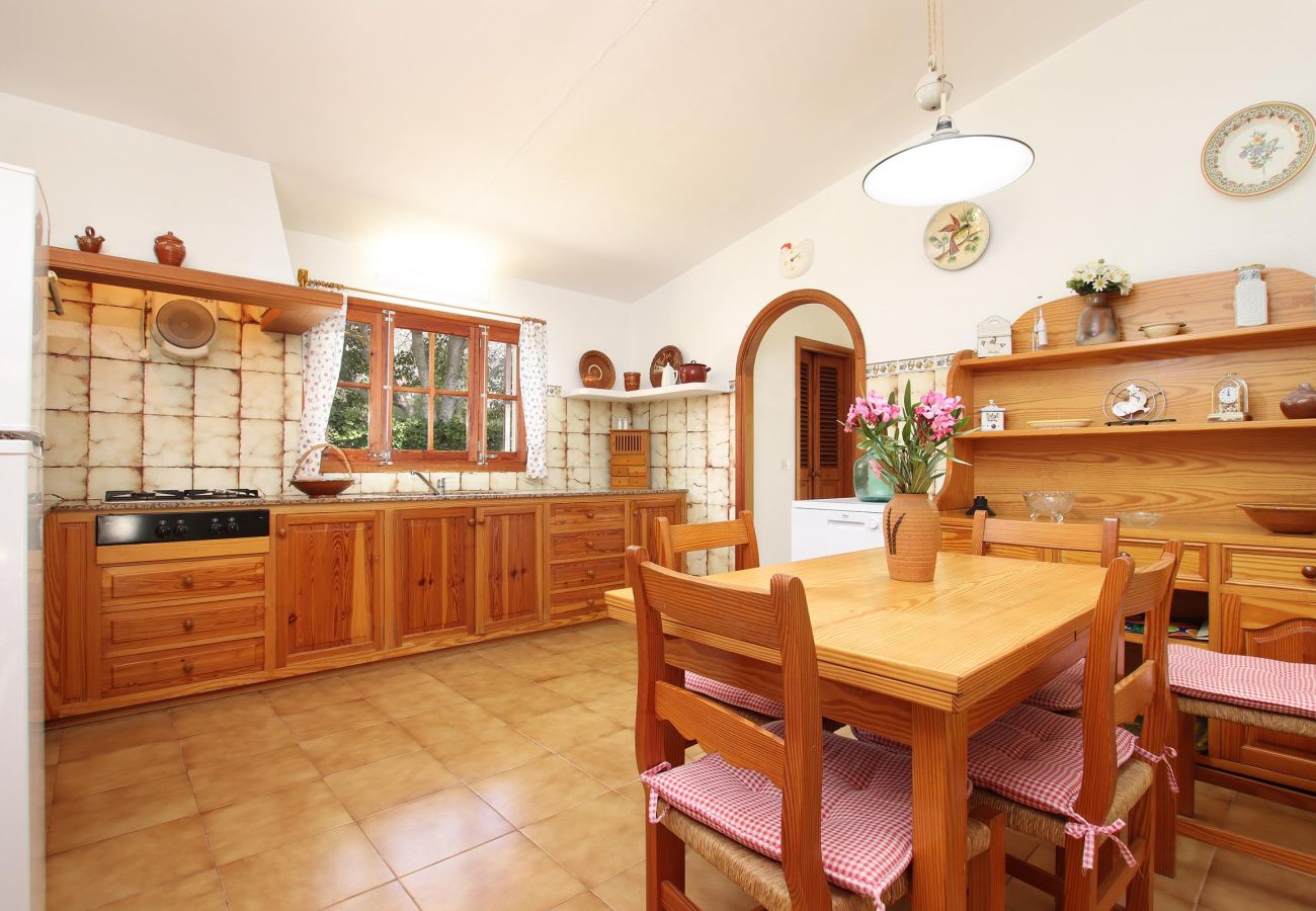 Villa in Pollensa - TONINA, charming villa  near the town