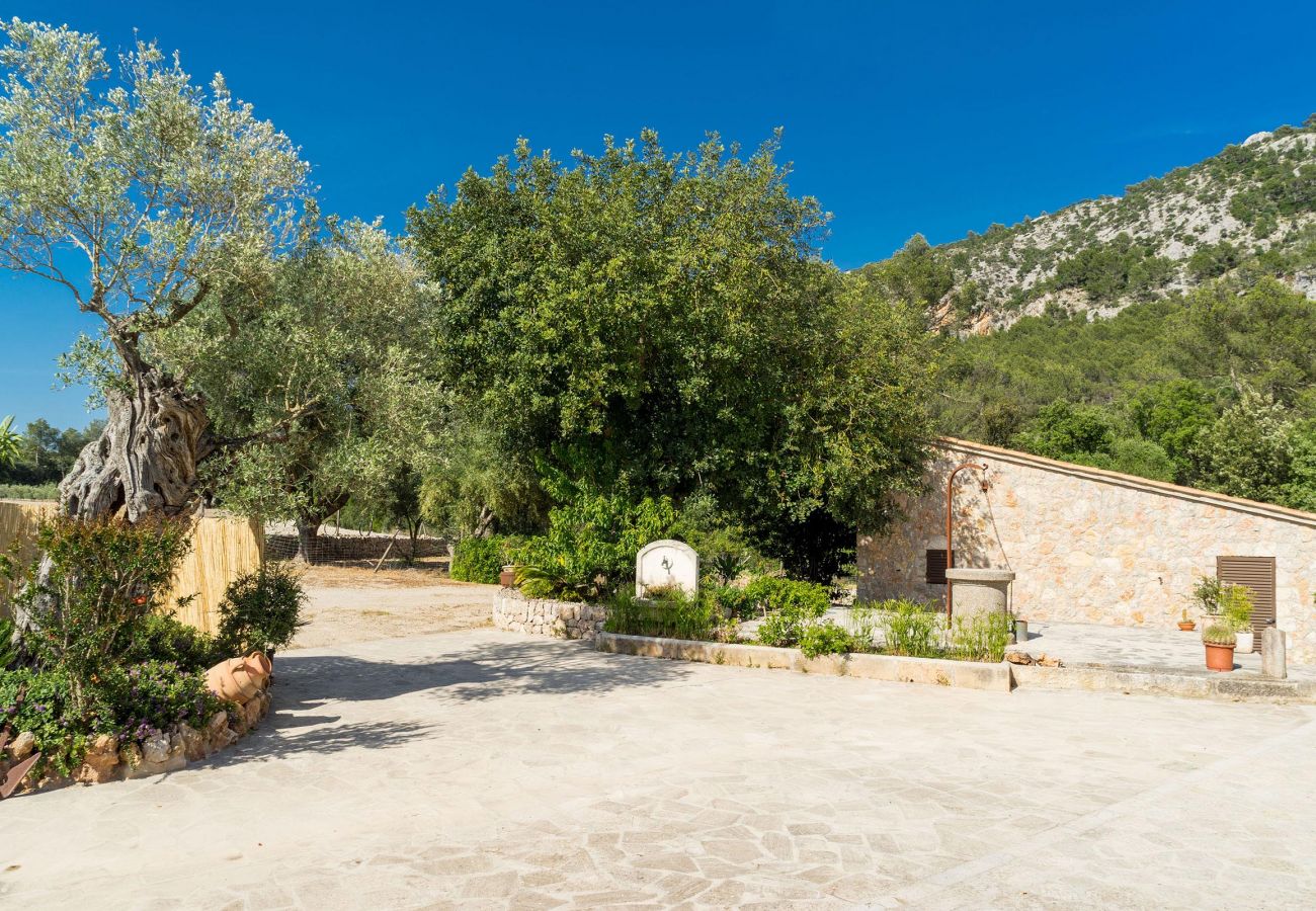 Villa in Pollensa / Pollença - CADELL PETIT. Charming house a short drive away from Pollensa