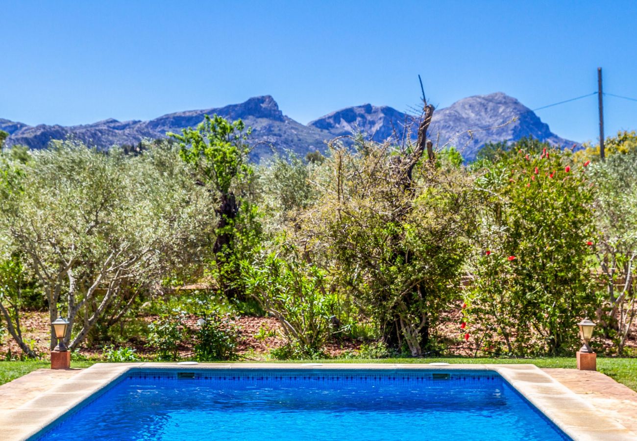 Villa in Pollensa - OLIVERES. Peaceful location close to Pollensa