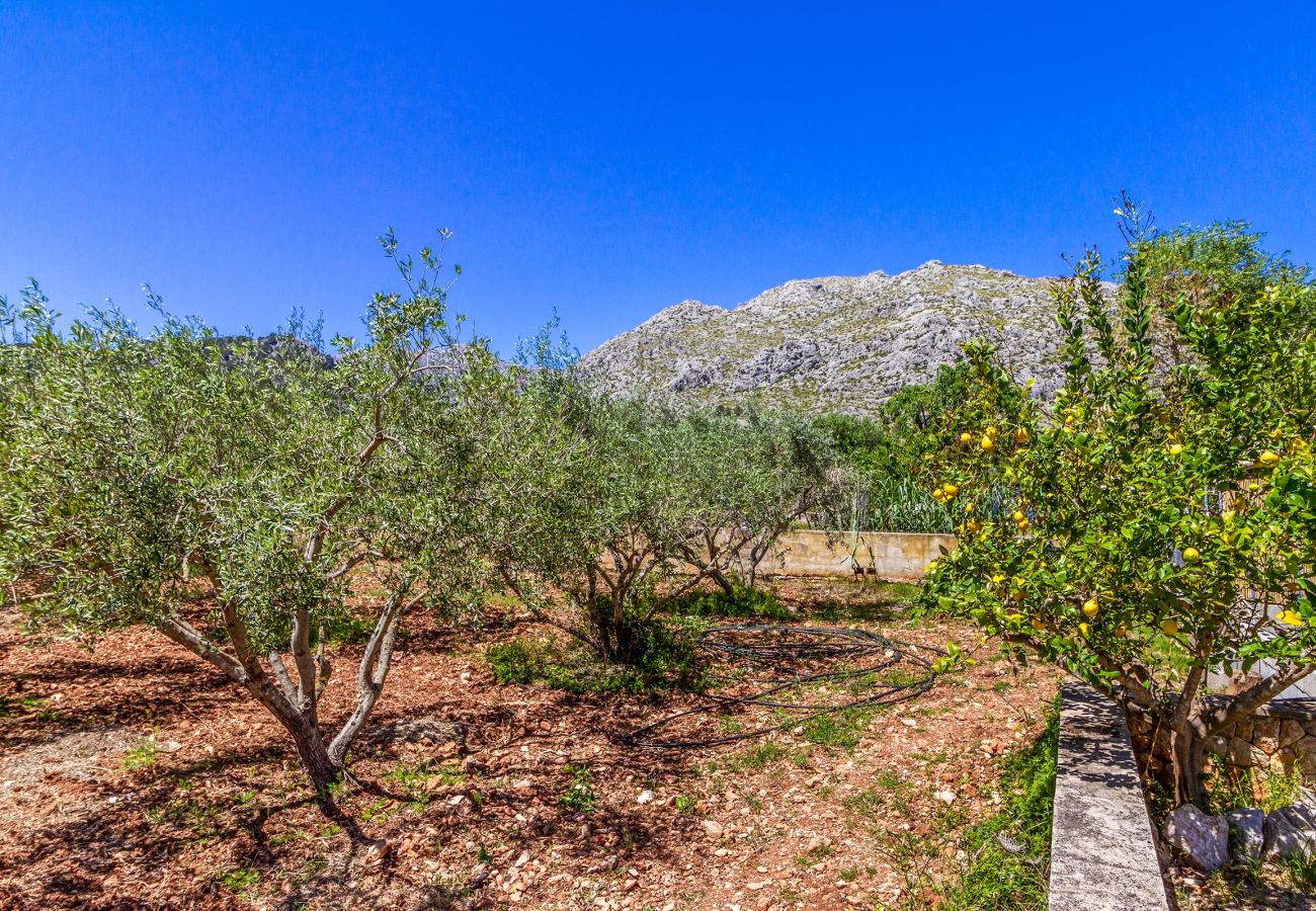 Villa in Pollensa - OLIVERES. Peaceful location close to Pollensa