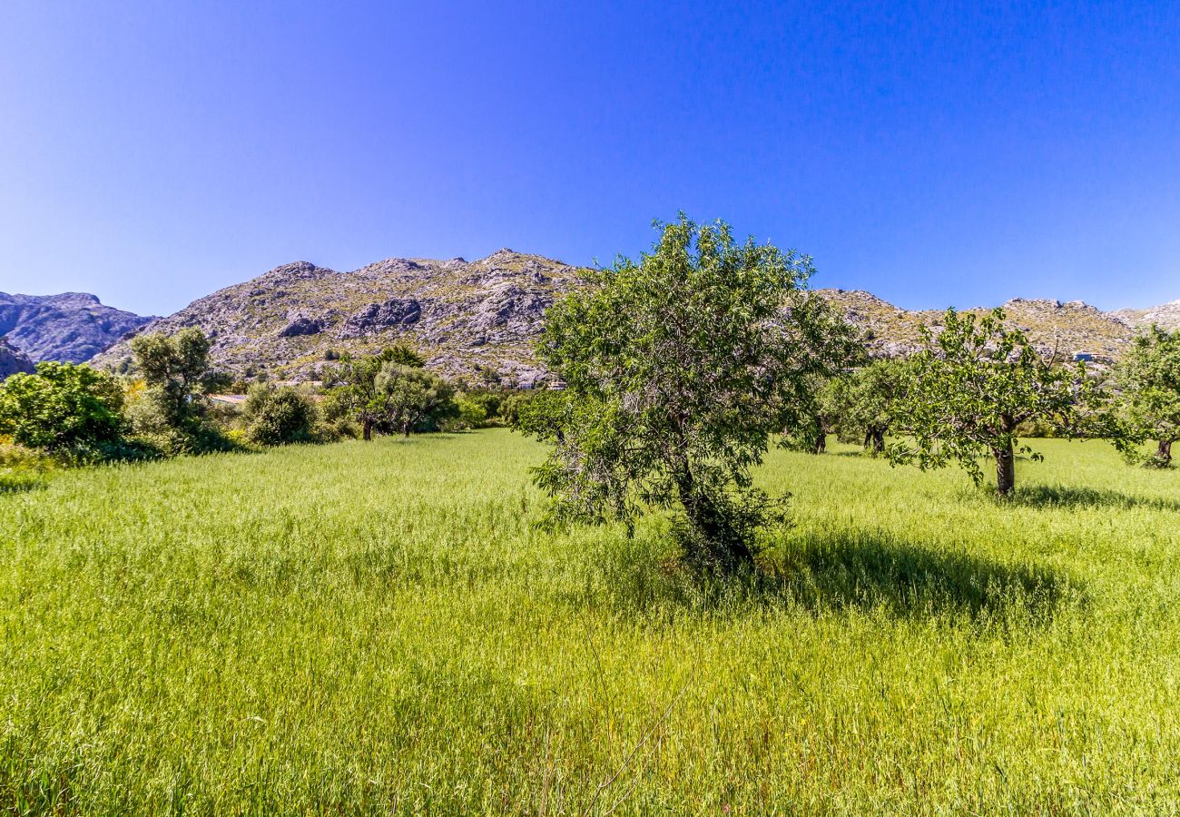 Villa in Pollensa - OLIVERES. Peaceful location close to Pollensa