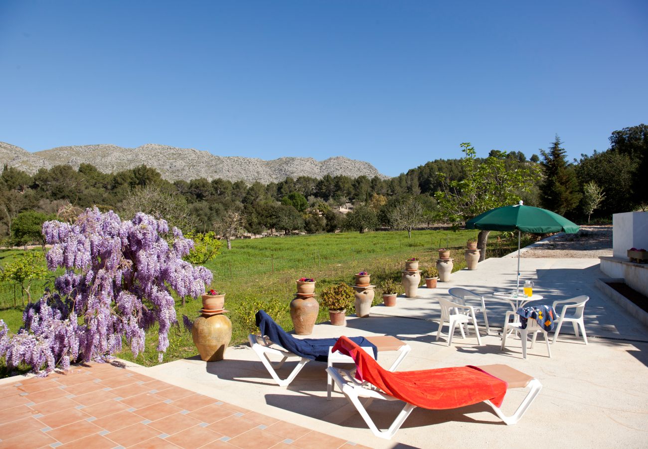 Villa in Pollensa - TIRANA. Welcoming villa midway to Pollensa, Puerto Pollensa and Cala San Vicente